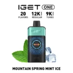 IGET ONE 12000 Puffs – Mountain Spring Mint Ice