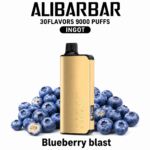 ALIBARBAR INGOT 9000 — Blueberry Blast