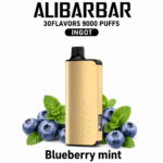ALIBARBAR INGOT 9000 — Blueberry Mint