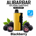 ALIBARBAR ICE ADJUST 12000 Puffs – Blackberry Ice