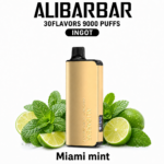 ALIBARBAR INGOT 9000 — Miami Mint