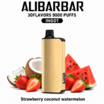 ALIBARBAR INGOT 9000 — Strawberry Coconut Watermelon