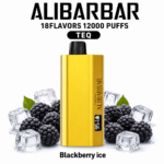 ALIBARBAR TEQ 12000 Puffs – Blackberry Ice