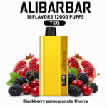 ALIBARBAR TEQ 12000 Puffs – Blackberry Pomegranate Cherry