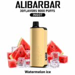 ALIBARBAR INGOT 9000 — Watermelon Ice